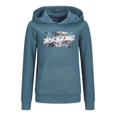 Jack & Jones Kapuzenpulli leichter Sweat Hoodie JJHAWAII Ocean View