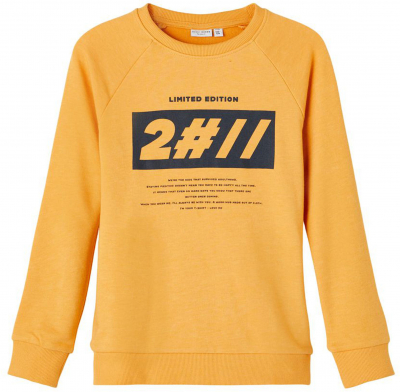 name it Jungen Sweatshirt nkmVION Golden
