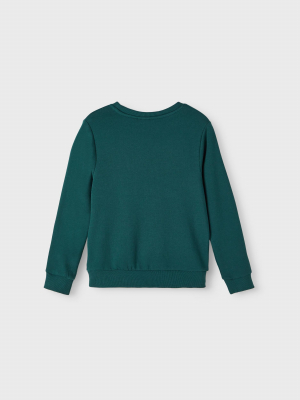 name it Sweatshirt nkmVILDAR Sea Moss