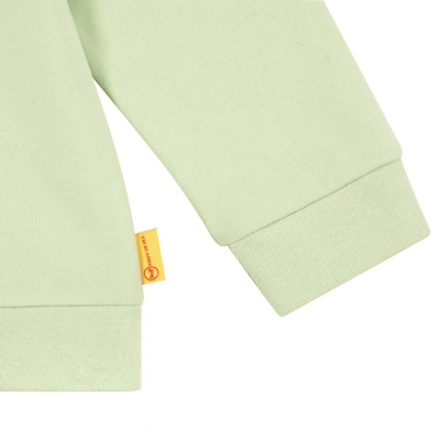 Steiff Sweatshirt mit Quietsche Bär einfarbig Pastell Grün 5042