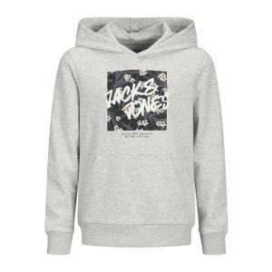 Jack & Jones Kapuzenpulli leichter Sweat Hoodie JJHAWAII hellgrau