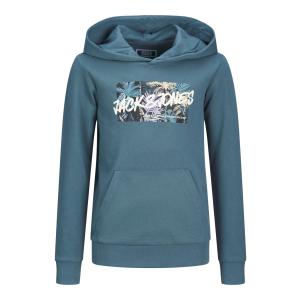Jack & Jones Kapuzenpulli leichter Sweat Hoodie JJHAWAII Ocean View