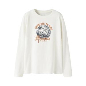 name it Jungen Langarm Shirt nkmVUX Cloud / Mountain