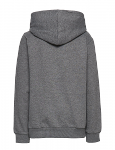 LMTD by name it Kapuzenpulli Hoodie nlmLASSO Grau