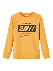 name it Jungen Sweatshirt nkmVION Golden