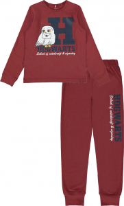 name it Gryffindor Pyjama Harry Potter nkfOEN Spiced Apple