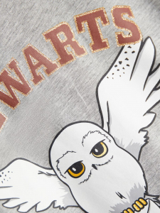 name it Hogwarts School T-Shirt Harry Potter grau