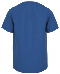 LEGO® Ninjago kurzarm T-Shirt 473 Hidden in blau