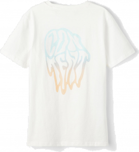 name it LMTD Jungen Kurzarmshirt Shirt nlmFELTING