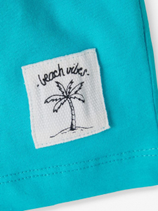 name it leichte Shorts nmmZharkon Hellblau