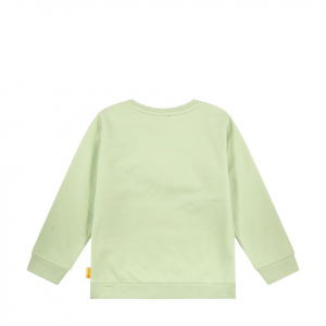 Steiff Sweatshirt mit Quietsche Bär einfarbig Pastell Grün 5042