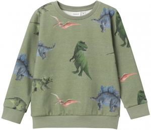 name it Kinder Sweatshirt Dinosaurier nmmoDINO