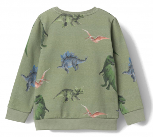 name it Kinder Sweatshirt Dinosaurier nmmoDINO