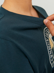 Jack&Jones Langarmshirt JORARTHUR Magical Forest