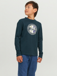 Jack&Jones Langarmshirt JORARTHUR Magical Forest