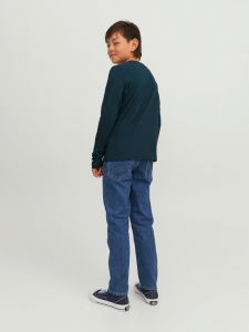 Jack&Jones Langarmshirt JORARTHUR Magical Forest