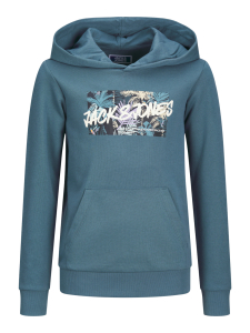 Jack & Jones Kapuzenpulli leichter Sweat Hoodie JJHAWAII Ocean View